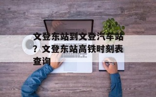 文登东站到文登汽车站？文登东站高铁时刻表查询