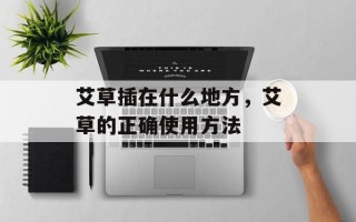 艾草插在什么地方，艾草的正确使用方法
