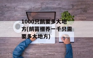 1000只鹅要多大地方(鹅苗棚养一千只需要多大地方)