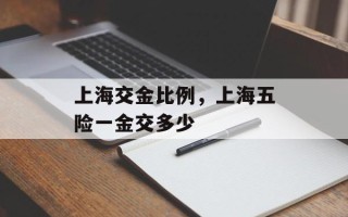 上海交金比例，上海五险一金交多少