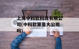 上海中科软科技有限公司(中科软算是大公司吗)