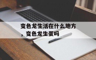 变色龙生活在什么地方，变色龙生蛋吗