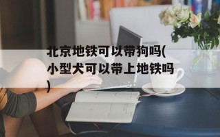 北京地铁可以带狗吗(小型犬可以带上地铁吗)