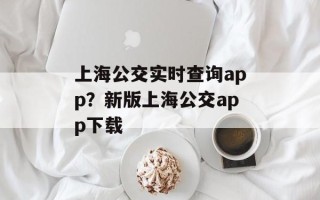 上海公交实时查询app？新版上海公交app下载