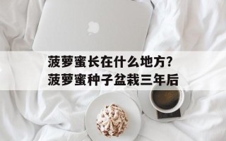 菠萝蜜长在什么地方？菠萝蜜种子盆栽三年后