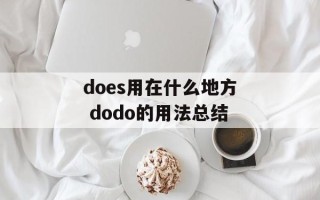 does用在什么地方 dodo的用法总结
