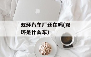 双环汽车厂还在吗(双环是什么车)