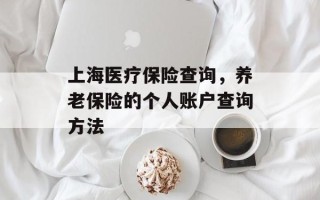 上海医疗保险查询，养老保险的个人账户查询方法