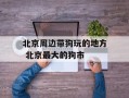 北京周边带狗玩的地方 北京最大的狗市