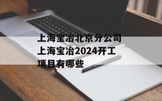 上海宝冶北京分公司 上海宝冶2024开工项目有哪些