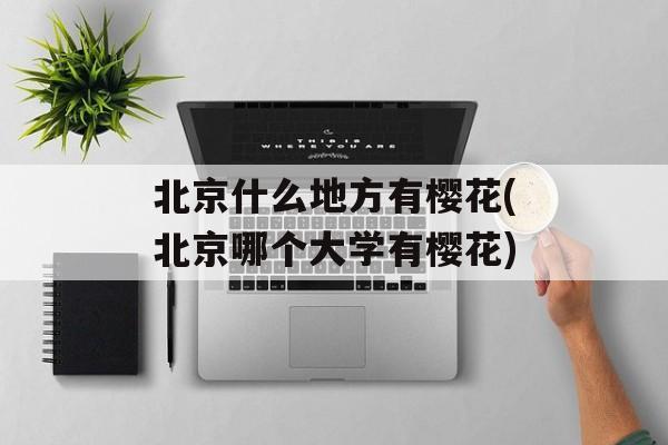 北京什么地方有樱花(北京哪个大学有樱花)-第1张图片-