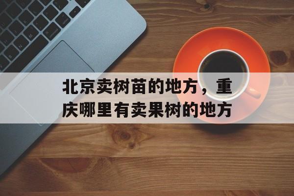 北京卖树苗的地方，重庆哪里有卖果树的地方-第1张图片-
