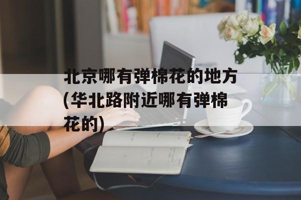 北京哪有弹棉花的地方(华北路附近哪有弹棉花的)-第1张图片-
