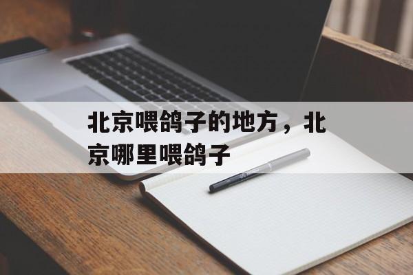 北京喂鸽子的地方，北京哪里喂鸽子-第1张图片-