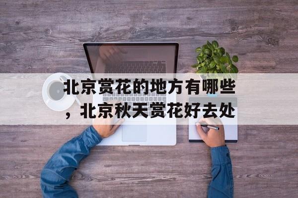 北京赏花的地方有哪些，北京秋天赏花好去处-第1张图片-