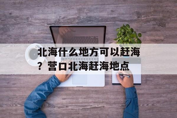 北海什么地方可以赶海？营口北海赶海地点-第1张图片-