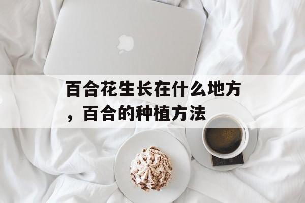 百合花生长在什么地方，百合的种植方法-第1张图片-