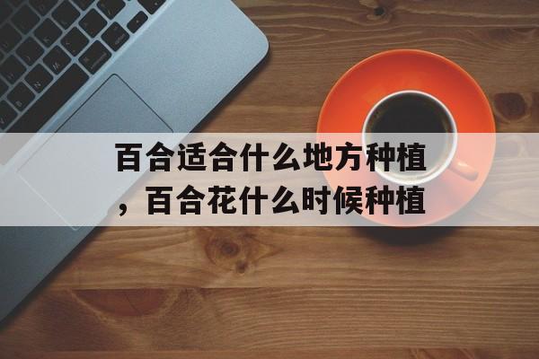 百合适合什么地方种植，百合花什么时候种植-第1张图片-