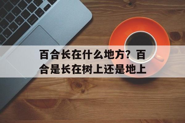百合长在什么地方？百合是长在树上还是地上-第1张图片-
