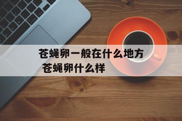 苍蝇卵一般在什么地方 苍蝇卵什么样-第1张图片-