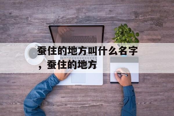 蚕住的地方叫什么名字，蚕住的地方-第1张图片-