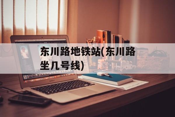 东川路地铁站(东川路坐几号线)-第1张图片-