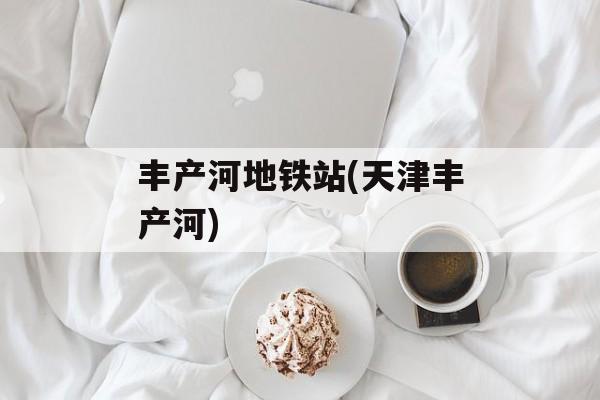 丰产河地铁站(天津丰产河)-第1张图片-