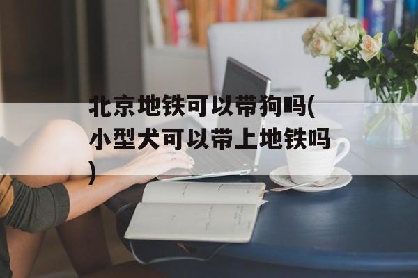 北京地铁可以带狗吗(小型犬可以带上地铁吗)-第1张图片-