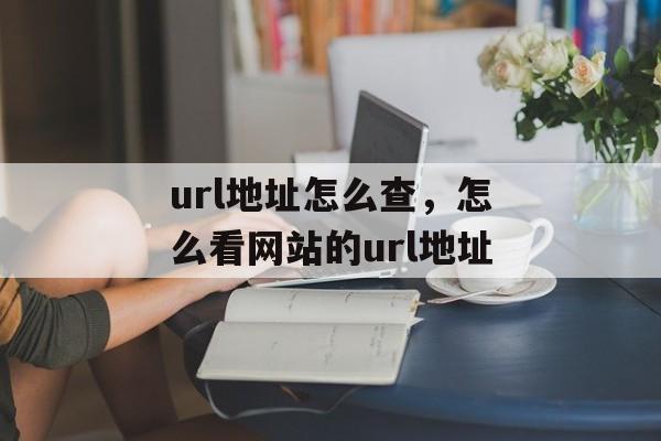 url地址怎么查，怎么看网站的url地址-第1张图片-