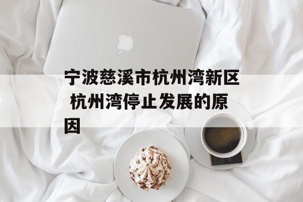 宁波慈溪市杭州湾新区 杭州湾停止发展的原因-第1张图片-