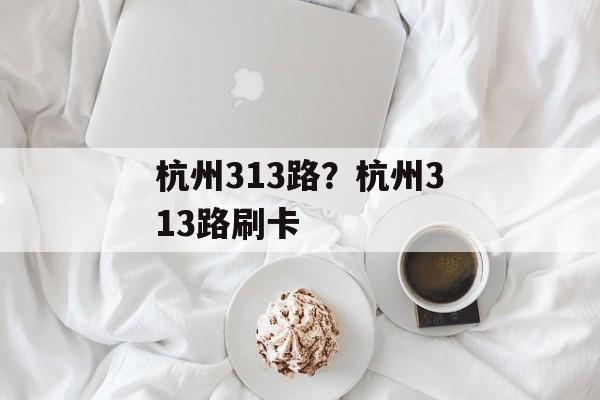 杭州313路？杭州313路刷卡-第1张图片-