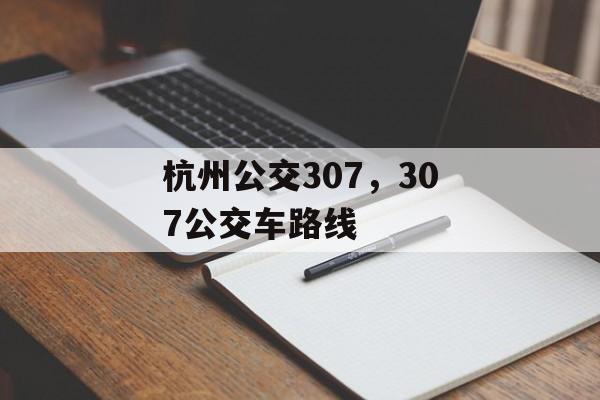 杭州公交307，307公交车路线-第1张图片-