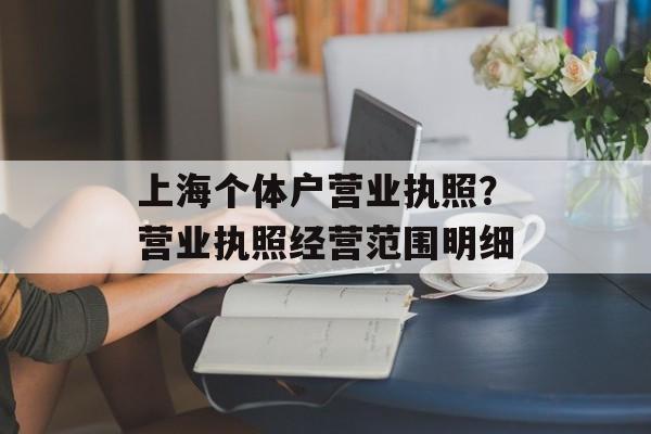 上海个体户营业执照？营业执照经营范围明细-第1张图片-
