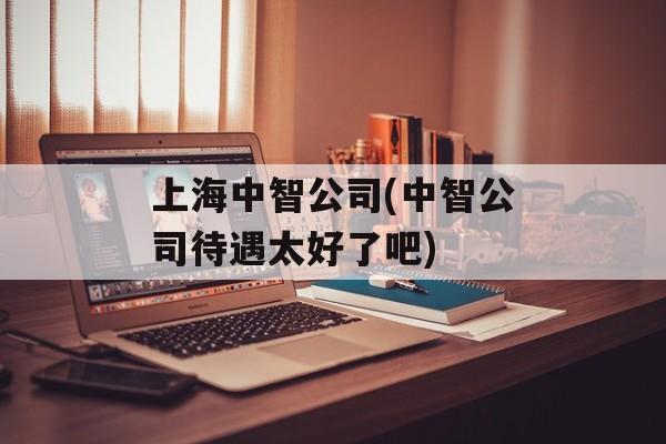 上海中智公司(中智公司待遇太好了吧)-第1张图片-