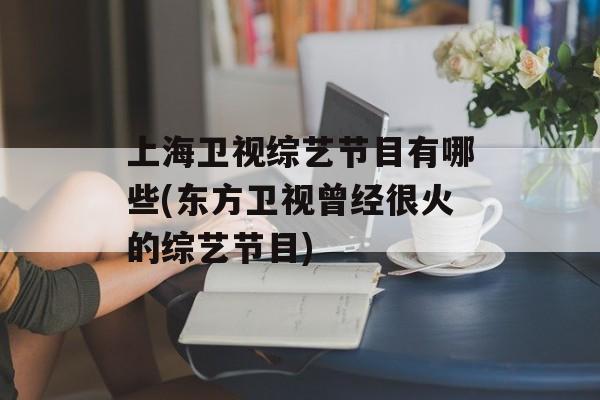 上海卫视综艺节目有哪些(东方卫视曾经很火的综艺节目)-第1张图片-
