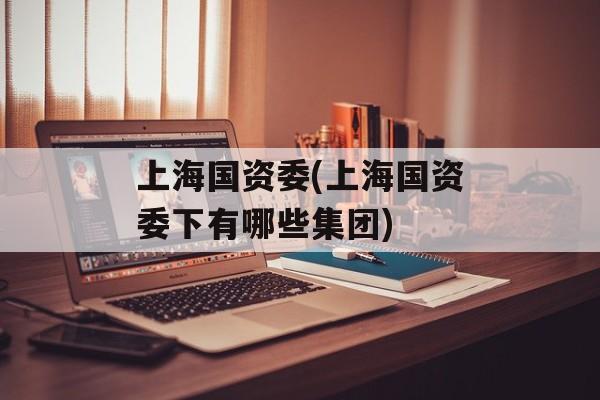 上海国资委(上海国资委下有哪些集团)-第1张图片-
