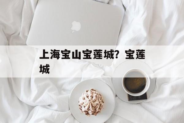 上海宝山宝莲城？宝莲城-第1张图片-