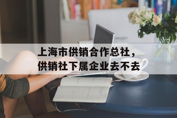 上海市供销合作总社，供销社下属企业去不去-第1张图片-