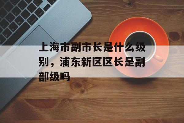上海市副市长是什么级别，浦东新区区长是副部级吗-第1张图片-