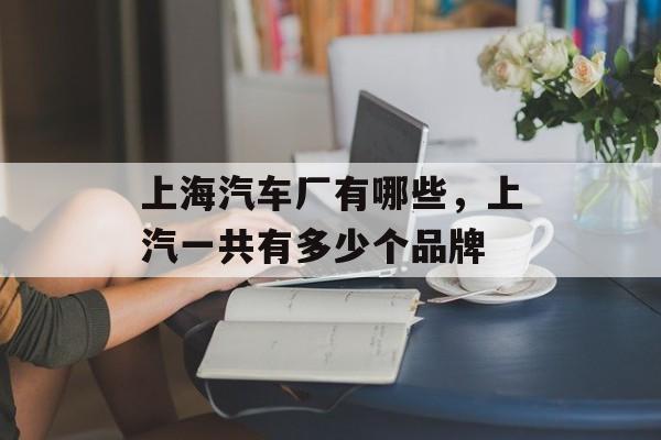 上海汽车厂有哪些，上汽一共有多少个品牌-第1张图片-