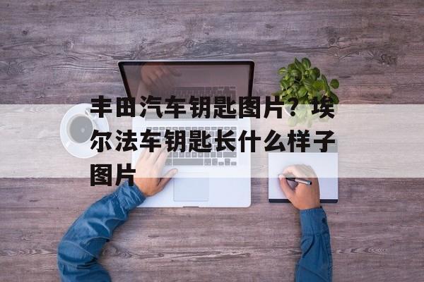 丰田汽车钥匙图片？埃尔法车钥匙长什么样子图片-第1张图片-