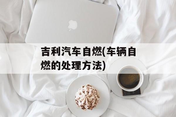 吉利汽车自燃(车辆自燃的处理方法)-第1张图片-