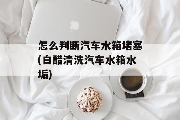 怎么判断汽车水箱堵塞(白醋清洗汽车水箱水垢)-第1张图片-